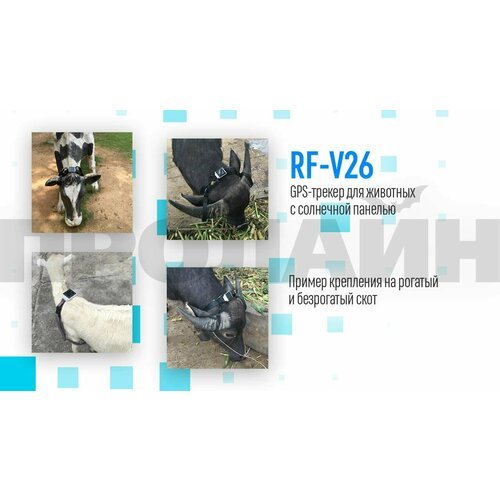 Ремень крепления для животных с рогами RF-V26-1 Strap Horns